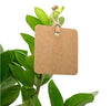 100 PCS Square Paper Gift Tags with 30 M Jute Twine for Crafts Hang Tags, Luggage Tag, Price Tags, DIY tags - JijaCraft