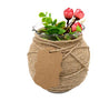 100 PCS 7*5CM  Blank Kraft Paper Gift Tags,Thank You Paper Hang Tags with 100 Feet Jute Twine - JijaCraft