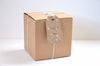 100 PCS Paper Gift Tags 7*4 CM Craft Tags with String Blank Hang Tags,Price Tags with 100 Feet Jute Twine - JijaCraft