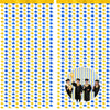 jijAcraft 2 Pack Blue Gold Graduation Cap Tinsel Foil Fringe Curtain, Graduation Party Decorations with String, Congrats Grad Streamers for Graduation Photo Booth Class of 2026 Prom School Home Decor