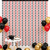 jijAcraft 2 Pack Red Black Graduation Cap Tinsel Foil Fringe Curtain, Graduation Party Decorations with String, Red Black Congrats Grad Streamers for Graduation Photo Booth Class of 2026 School Decor