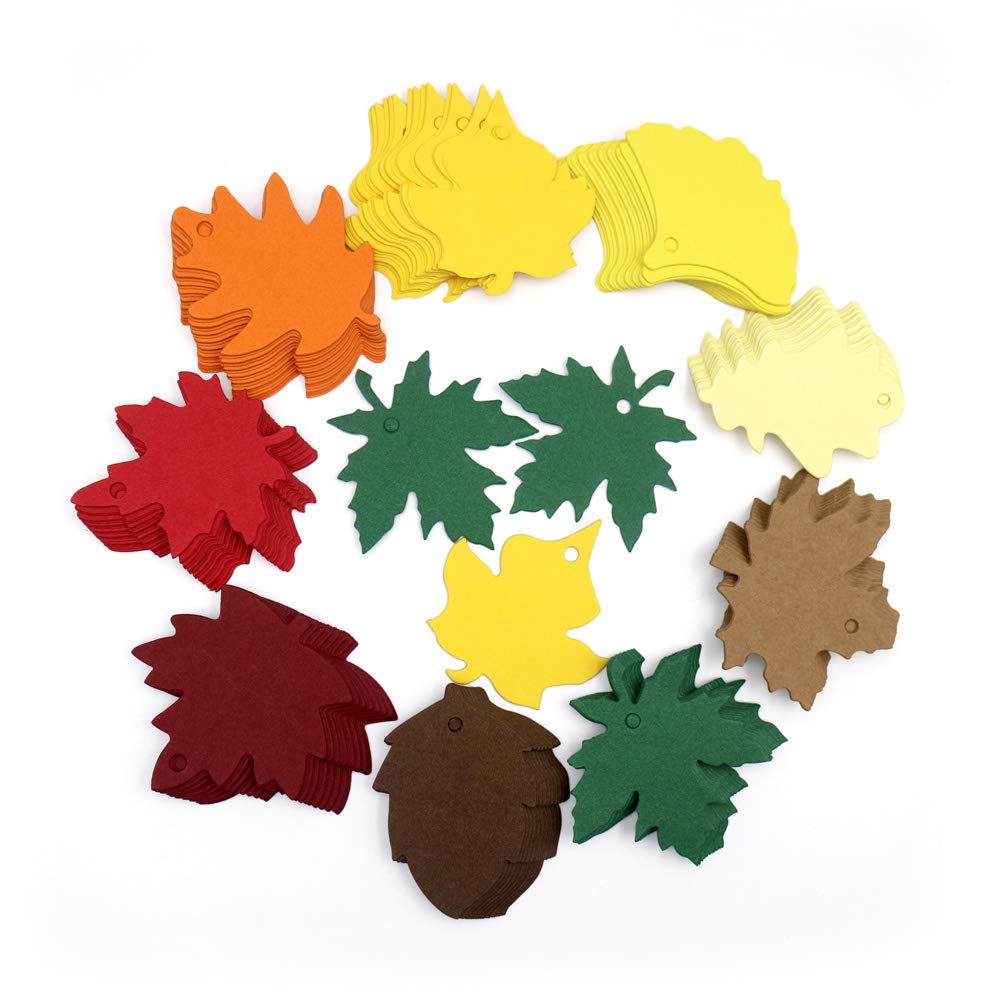 jijAcraft 120Pcs Paper Leaves Gift Tags with Ribbon, Maple Leaf Tags for  Thanksgiving, 12 Colors Fall Leaves Labels, Fall Cutouts for Autumn