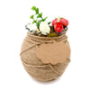 100 PCS Craft Paper Gift Tags 5CM 7CM Cloud Shape Wedding Party Favor Labels with 30 Meters Natural Jute Twine - JijaCraft